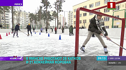 В Минске работают 28 катков и 21 хоккейная коробка 