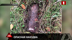 В Борисове нашли 2 артиллерийских снаряда разного калибра