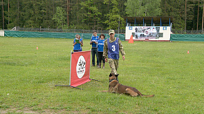 В Беларуси проходит чемпионат по многоборью среди собак
