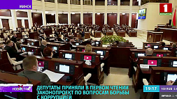 Депутаты приняли в первом чтении законопроект по вопросам борьбы с коррупцией