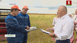 В Минской области сразу два экипажа первыми собрали 1000 тонн зерна и рапса 