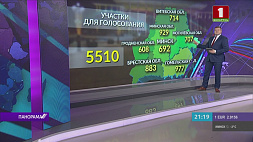 Образовано 5 510 участков для голосования на референдуме по Конституции Беларуси