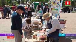 В Дзержинске проходит областной праздник детства 