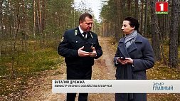 Интервью Виталия Дрожжи об охране и правилах ведения лесного хозяйства 