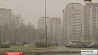 Мокрый снег, ливни и ветер пришли в Беларусь 