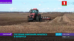 В Беларуси начались весенне-полевые работы 