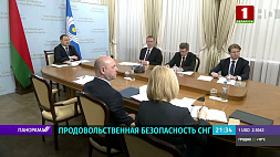 Головченко: Уход от расчетов в долларах и евро позволит стимулировать взаимную торговлю в СНГ 