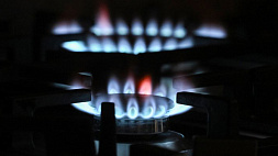 Эстония поддержит продление ограничений на потребление газа в Европе