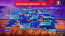 Уборочная-2021: Массовую жатву завершили Могилевская и Брестская области