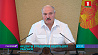 А. Лукашенко: Введение санкций против Беларуси повышает актуальность диверсификации экономики страны