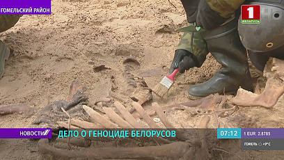 В Ченковском лесу обнаружены останки порядка 30 человек, расстрелянных в годы Великой Отечественной войны 