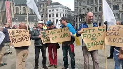 "Мы не хотим оплачивать амбиции Зеленского" - жители Нидерландов против поставок оружия Киеву