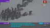 В Турции в оказавшихся под снегом машинах могут оставаться более 50 человек