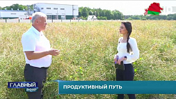 Почему в Беларуси делается упор на выращивание рапса и озимого ячменя 