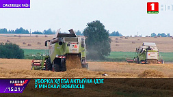Уборка хлеба активно идет в Минской области