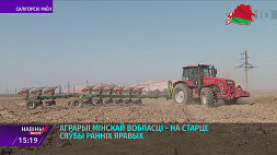 130 тыс. га полей засеют ранними яровыми культурами в Минской области