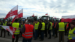 Польские фермеры грозят на месяц перекрыть все КПП с Украиной, железнодорожные станции и порты