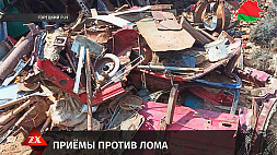 Водителя, который перевозил без документов почти 2 т лома черных металлов, остановили в Горецком районе 