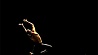 Артисты Киев модерн-балета на сцене Большого театра Беларуси