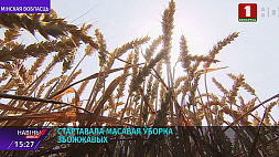 Массовая уборка зерновых стартовала в Минской области 