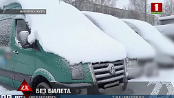 В Могилевской области семейный подряд перевозчиков уклонялся от уплаты налогов - ущерб составил почти 1 млн рублей
