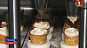 В Беларуси появилось мороженое со вкусом сыра