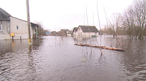 Уровень воды превысил 10 метров: река Дрисса вышла из русла и затопила прибрежные улицы Верхнедвинска