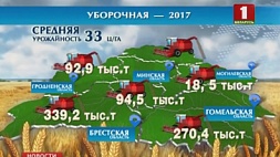Более 7 миллионов тонн зерна планируют собрать в этом году белорусские аграрии