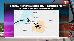 Схема перемещения санкционного товара через Беларусь и кому это выгодно  - в расследовании  "Игра по-серому"