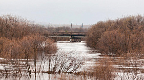В Ветковском районе подтоплен участок дороги