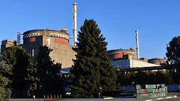 На Запорожской АЭС предотвращен теракт