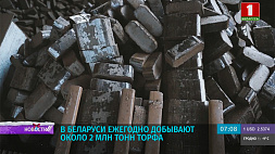 В Беларуси ежегодно добывают около 2 млн тонн торфа