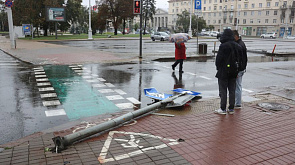 В МЧС рассказали, как обезопасить себя при сильном ветре