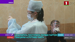 В Беларусь поступила первая партия вакцины "Спутник Лайт"
