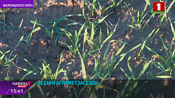 В Воложинском районе агрометеорологи инспектируют свежие зеленые поля