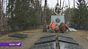 В 2020 году в Беларуси на месте сожженной деревни Ола построят мемориальный комплекс