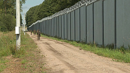 Ватикан осуждает стену на границе Польши с Беларусью