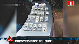 В Гродно на неохраняемой стоянке из машины украли 5,5 тысячи евро и 5 тысяч долларов