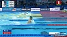 В китайским Ханчжоу проходит чемпионат мира по плаванию на короткой воде 