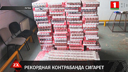 В грузовом составе пограничники Литвы обнаружили 420 тысяч контрабандных сигарет 
