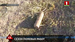 107-мм артиллерийский снаряд обнаружен на поле в Барановичском районе