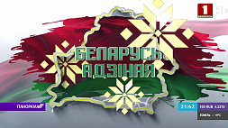 Республиканскую акцию "Беларусь адзіная" принимали в Борисове 