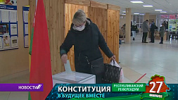 На досрочном голосовании об изменениях в Основной закон страны активность показывает Могилевская область 
