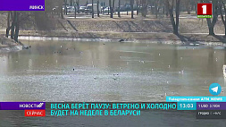 Неделя в Беларуси будет ветреной и холодной - 29 марта ожидается мокрый снег 