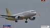 Японская авиакомпания заставила пассажира ползком подниматься на борт самолета 
