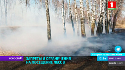 В Беларуси введены запреты и ограничения на посещение лесов 