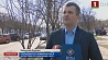 Аллею из 17 рябин высадили в Минске как символ Целей устойчивого развития 
