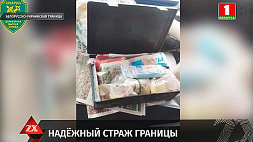 Служебная собака таможенников нашла наркотики в грузовиках из Украины