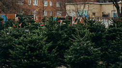 В Минской области с 16 декабря заработают рождественские ярмарки и елочные базары 