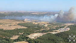 Белорусские спасатели продолжают тушить лесные пожары в Турции